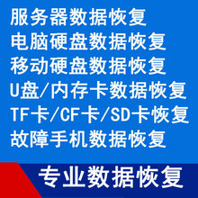 IDE,SATA,SCSI,SAS 硬盘笔记本硬盘服务器阵列硬盘记忆棒数据恢复