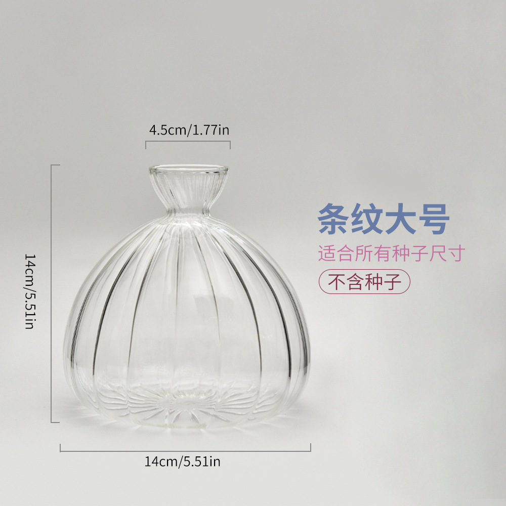 Jarrón hidropónico de aguacate japonés, plantación de semillas de hueso de aguacate, recipiente de cultivo, jarrón especial, jardinería