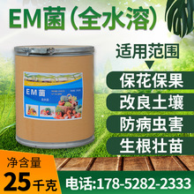 现货EM菌有机肥发酵剂粉体液体em菌原液全水溶培菌水产养殖  em菌