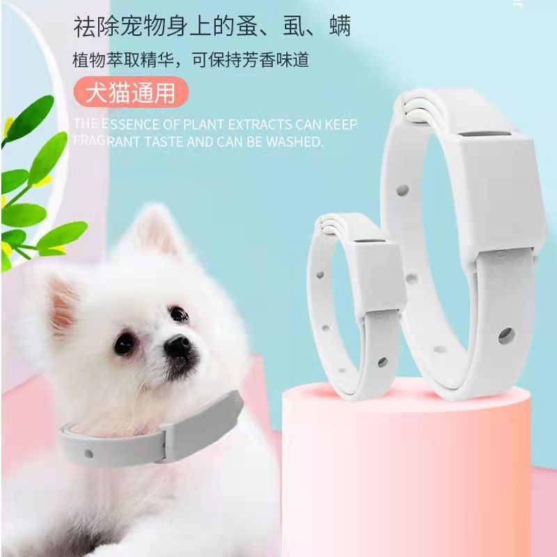 fa52d66038371b56a5c50294d21f26