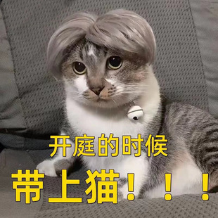 New pet wig kun kun with cat silver headdress dog ikun with split headgear factory wholesale