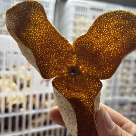 陈皮;普洱茶;花生