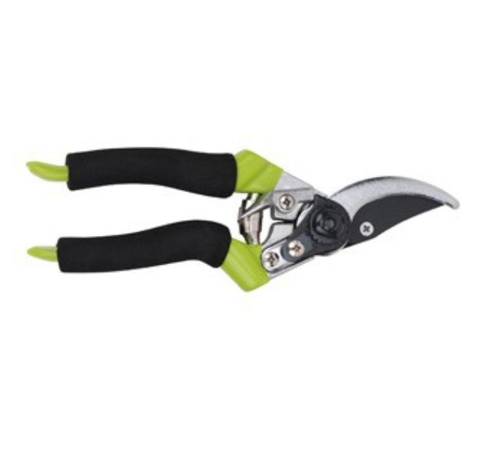 微信截图_20230627195600