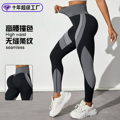 シームレスで通気性の高いウエストは色のヨガのズボンの女性にぶつかります。