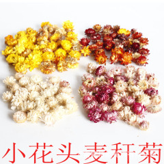 小花頭麦草菊100g ドライフラワー 小花芯 小デイジー DIY素材パック アロマキャンドル DIY手作り