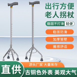 �p�������_�����w����Ⱥ����ɢ���������w���W�������X�Ͻ����