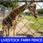 镀锌钢丝网勾花铁丝网围栏网养殖护栏网养鸡圈牛羊菱形防护网围网