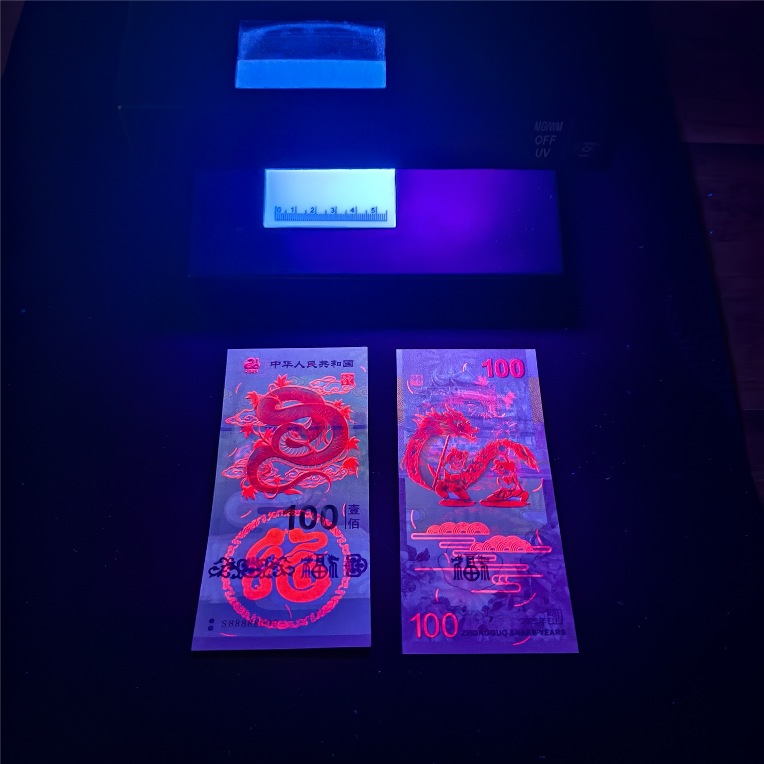 绿蛇 通天号 (3).jpg