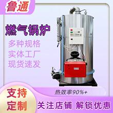 水汽两用热源机 鲁通全自动高效节能锅炉包装机械生物化工适用