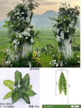 �Gֲ�~�ӻ�c�ٻ��Gɫ�~��ɭϵ����Y�ٲݘ��~�廨�~���B