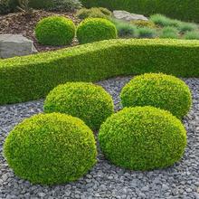 ~Ůؑ͘~ŮؑͺͥԺС^GɫKGhļ