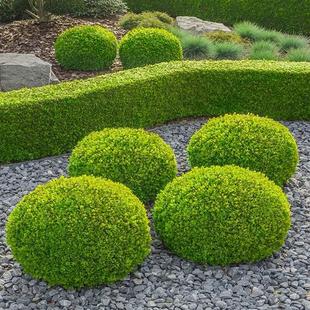 ���~Ůؑ���͘�����~Ůؑ�����ͺ�ͥԺС�^�G��ɫ�K�G�h�ļ�����