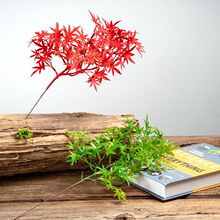�������_�h����°��ɘ�֦�~���辰�Ĕz���ߘ��b[���쾰