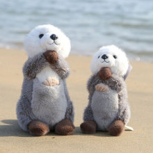 ��ż���亣�H�¿ͯ�����ż��ͨ���ˮ�H���пɐ��Ȍ��Y��[��