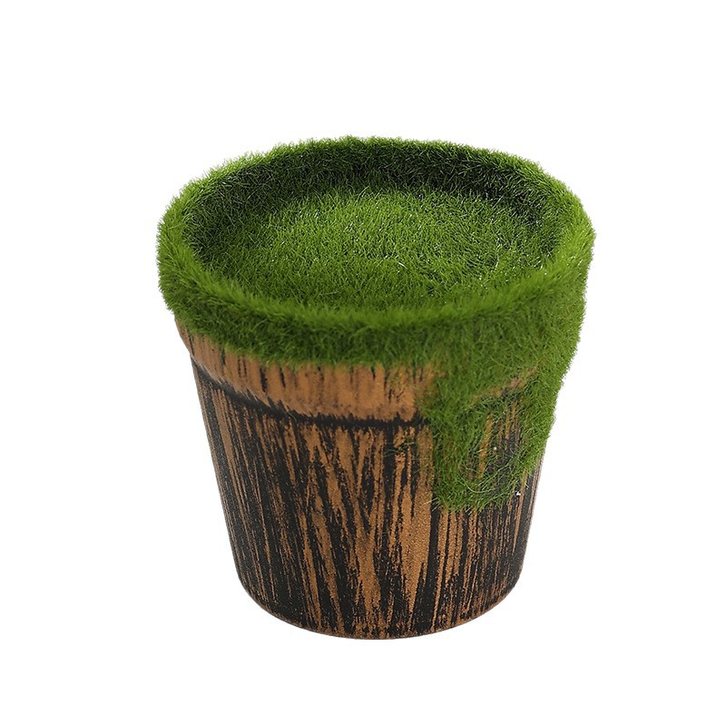 Set semplice di piante grasse verdi, decorazione versatile per la casa, adatto sia per uso interno che esterno_voghion.com