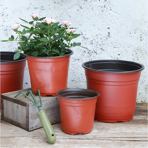 Two-color pot seedling pot brick red succulent green plant two-color flower pot seedling cup soft suction plastic flower pot wholesale factory