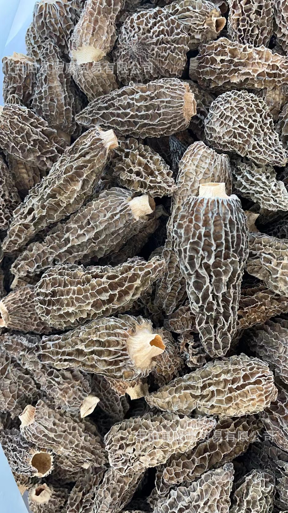 ed894b998e54d99ab55436b30c6976