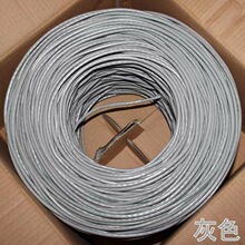 �O��POE��� ���̳���� �������X�W�j��305�� �S�����l