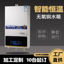 定制热水器燃气家用天然气煤气液化气智能恒温静音平衡式壁挂炉