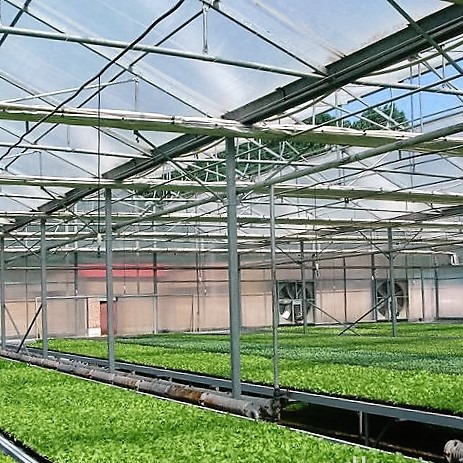 厂家制作销售新型智能温室大棚  玻璃温室  pc板温室