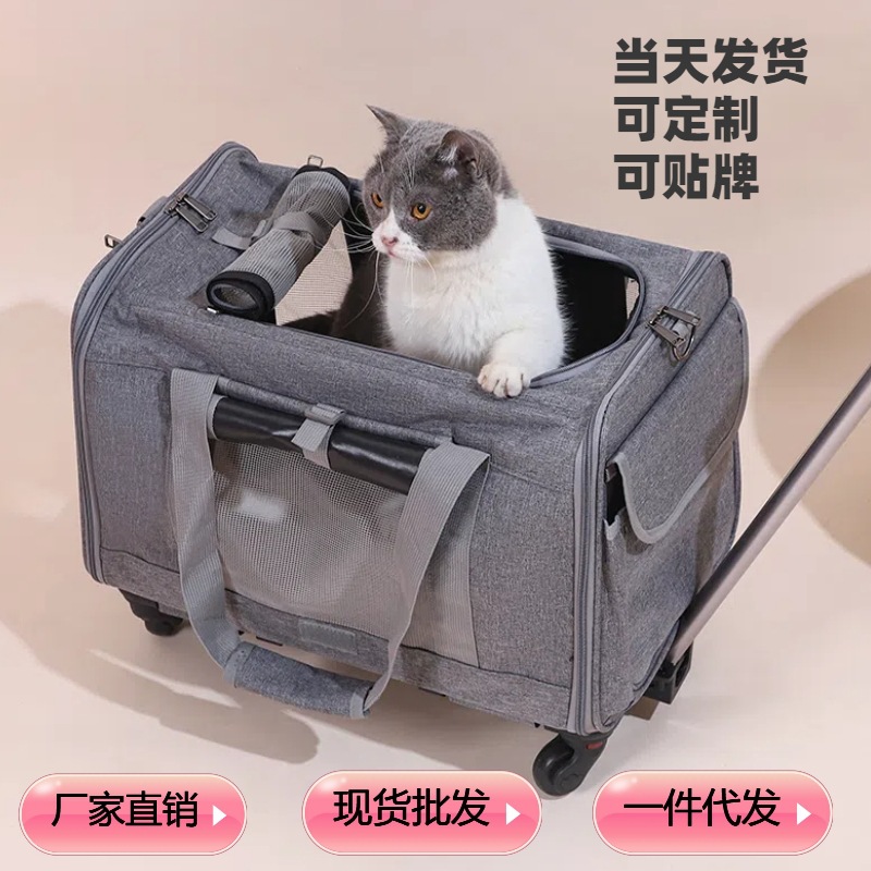 Transportín para gatos de nuevo estilo para exteriores, transportín para perros de verano, caja plegable para mascotas, caja de transporte portátil y transpirable para mascotas
