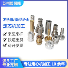 走心机加工铝合金CNC加工小零件不锈钢零件加工新能源铝件cnc加工