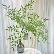 ˮ WLinsRRľƽGֲG҃Bֲ