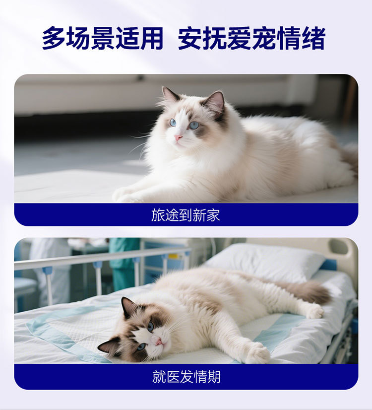 O1CN01rXVsoq1QS8tdzoD8K_!!2206811161974-0-cib.jpg
