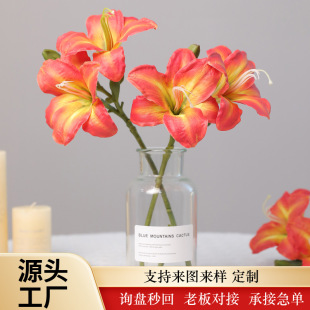 ���W���滨����� �ٺϻ�������c�[���Ҿӿ͏dܛ�b��̼ٻ�