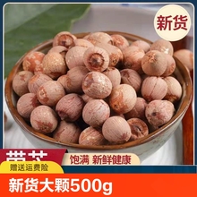 tɏӎо؛500g]оtƤɏخaɏӎȥоٺϟo