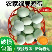 ���r�r�ҷ��Bɢ�B���u�����u���r�ҵ��G�����u��40ö���Ɠp���r��