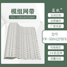 工厂直销食品饮料灌装模组输送带PP塑料镂空开孔网带尼龙平板网链
