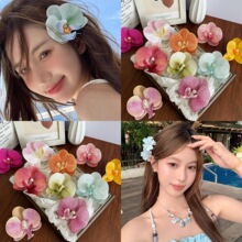 �¿�l�A�����m�l���໨���ץ�A�nϵ���յ��߂�߅�A�A�ӊA�^�l