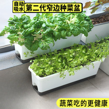 2026խ߅�L���λ����̨�N�����L�l�߲˷Nֲ���䴰̨���ۑ��˘�֬