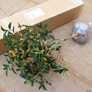 �������Լ޽�Ʒ�NͥԺ���d�ļ��_����̨�����¹�����ͻ���