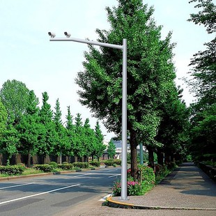 Surveillance Pole 3.35m 4.5m 6m Stainless Steel Pole Camera Bracket Column Plum Maple Lighting