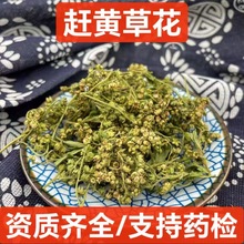 �s�S�ݻ� ��ș�� �s�S�ݲ�  ���A�خa �s�S�ݲ� ֧��ș�z ��ĥ��