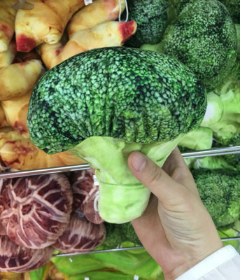 シミュレーション果物野菜玩具子供遊園地玩具焼き鳥ソーセージ焼き鳥ぬいぐるみ卸売りトランペット|undefined
