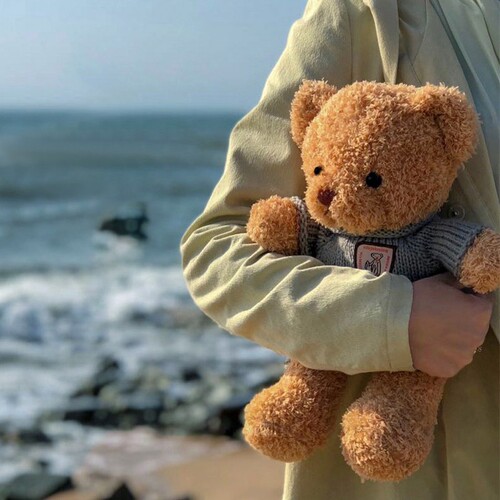 Manufacturer wholesale sweater teddy bear doll plush toy bear pillow cloth doll wedding gift gift bear