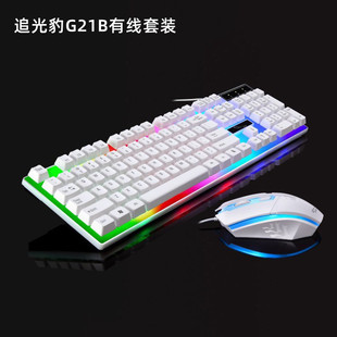 ׷�ⱪG21B�l���I�P����о����b USB�Cе�ָ���X�I���׿羳���l