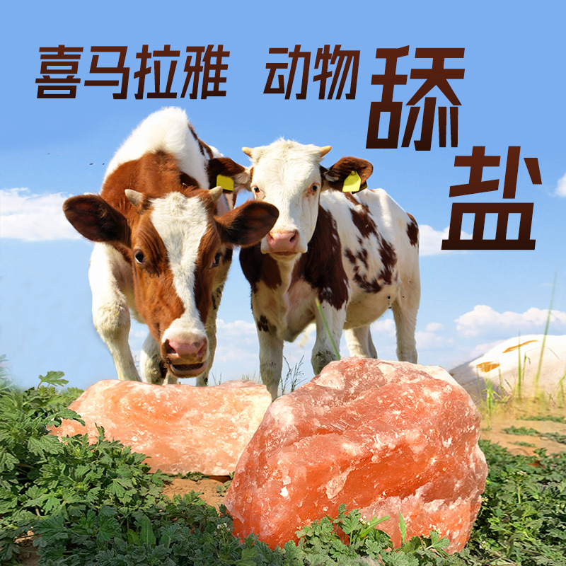 巴基斯坦进口水晶舔砖盐块畜牧类矿物质盐砖高级牛羊舔砖盐砖舔盐