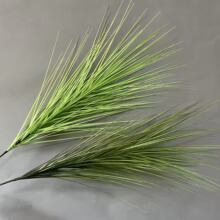 洋葱草森系莫奈花园花婚庆用花尤加利芦荀草蓬莱松绿色花批发