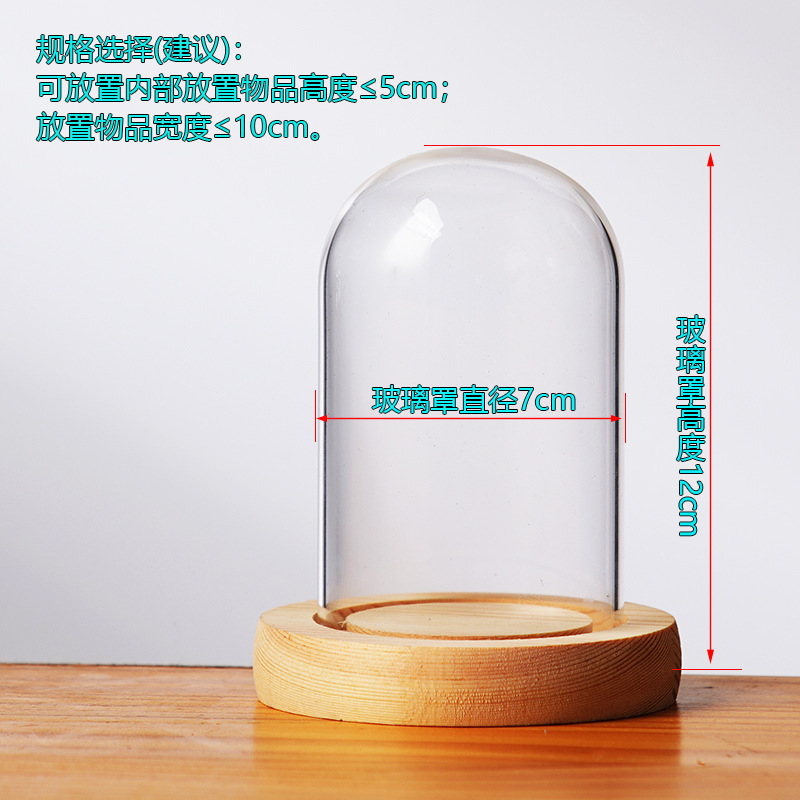 Cubierta cilíndrica de vidrio transparente sin lámpara de madera de estilo inmortal cubierta de polvo de flores hecha a mano decoración creativa de escritorio de bloques