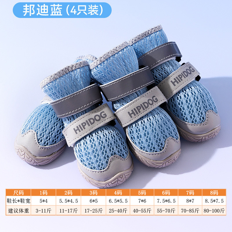 본다이 블루 4팩