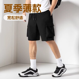 2026�ļ��¿���ʽ�ٸɹ��b��ѝ�������ѝ��ڴ����e�\��ɳ��ѝ