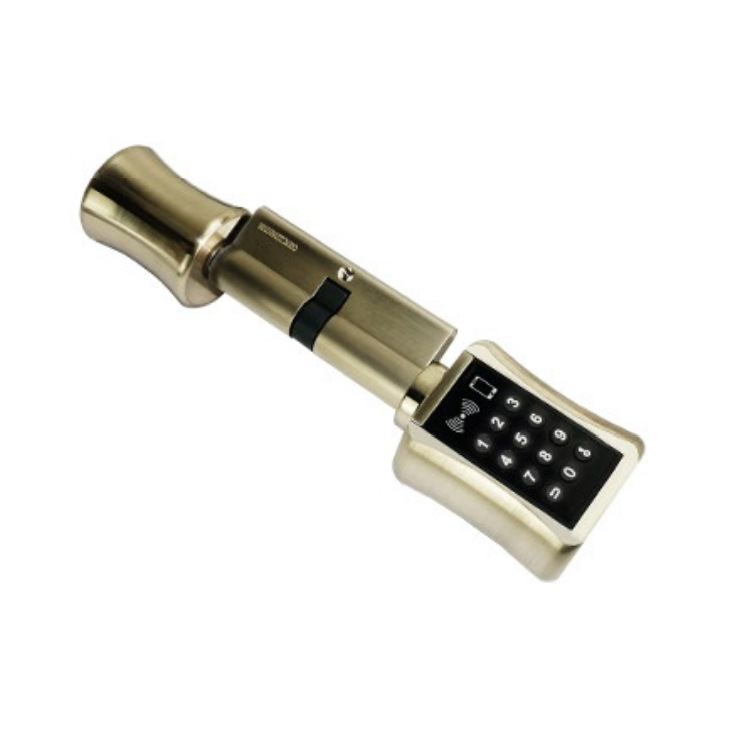 Transfronteriza al por mayor inteligente de huellas dactilares de bloqueo interior TTLOCK paso de bloqueo de oficina apartamento esférico de bloqueo de aplicaciones de graffiti