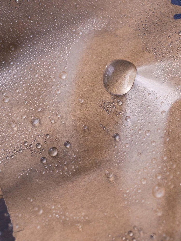 Bolsos de mano para llevar bolsas de papel impermeables, café Ruixing, café Nova, bolsas transparentes impermeables a prueba de lluvia
