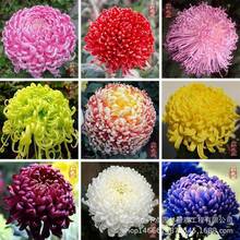 ջNӡ̨҃ͥԺջNļNͺ