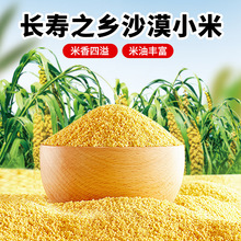 L֮lɳĮС2.5kgAMIBSʳƷ