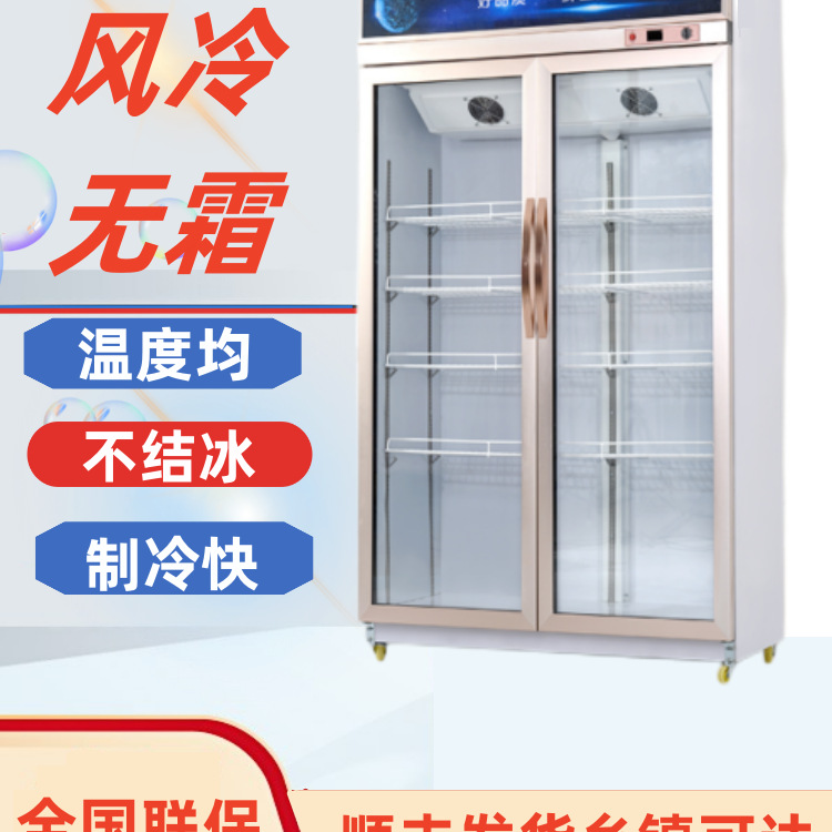 双门保鲜柜立式冰柜水果展示柜柜冷饮饮料冷藏柜其他蔬菜商用铜管